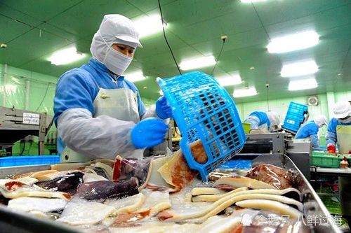 全球鱿鱼需求下跌90%,中国加工厂降价疯抢出口订单!_腾讯新闻
